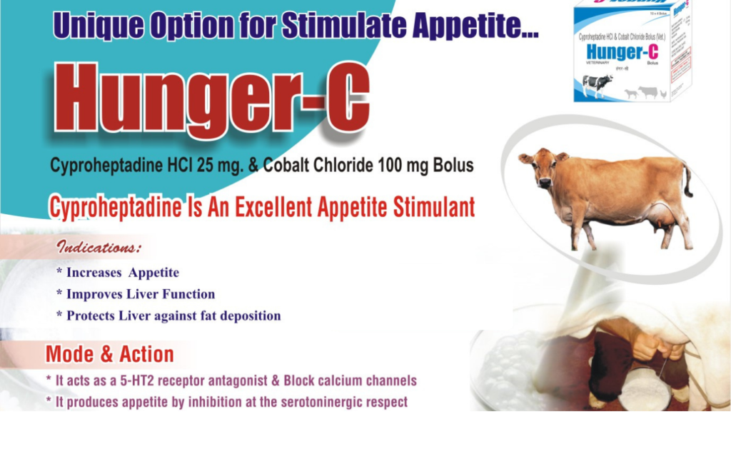 untitled design 20260131 001707 0000